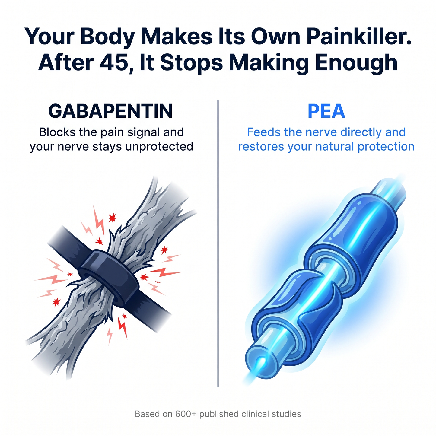 Your body makes its own painkiller - after 45 it stops. Gabapentin vs PEA nerve comparison