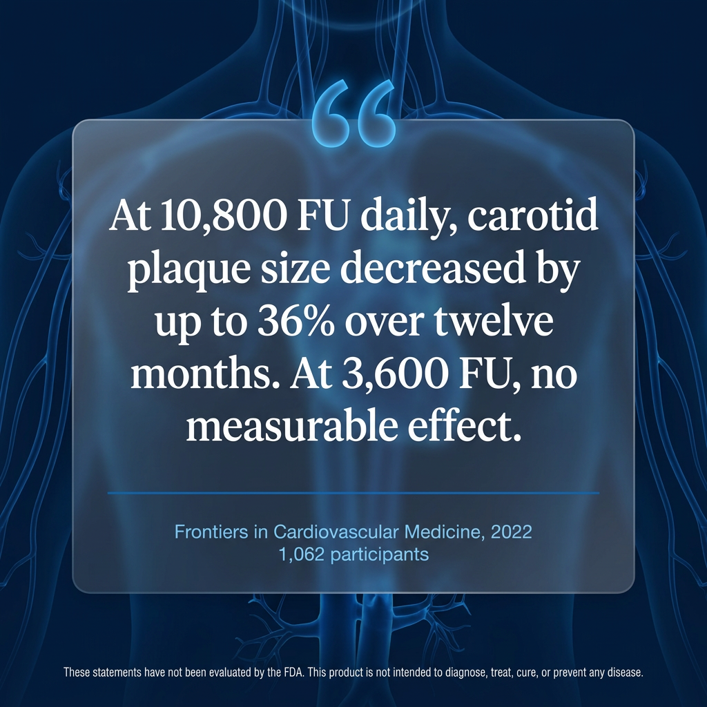 Cardiovascular Complex