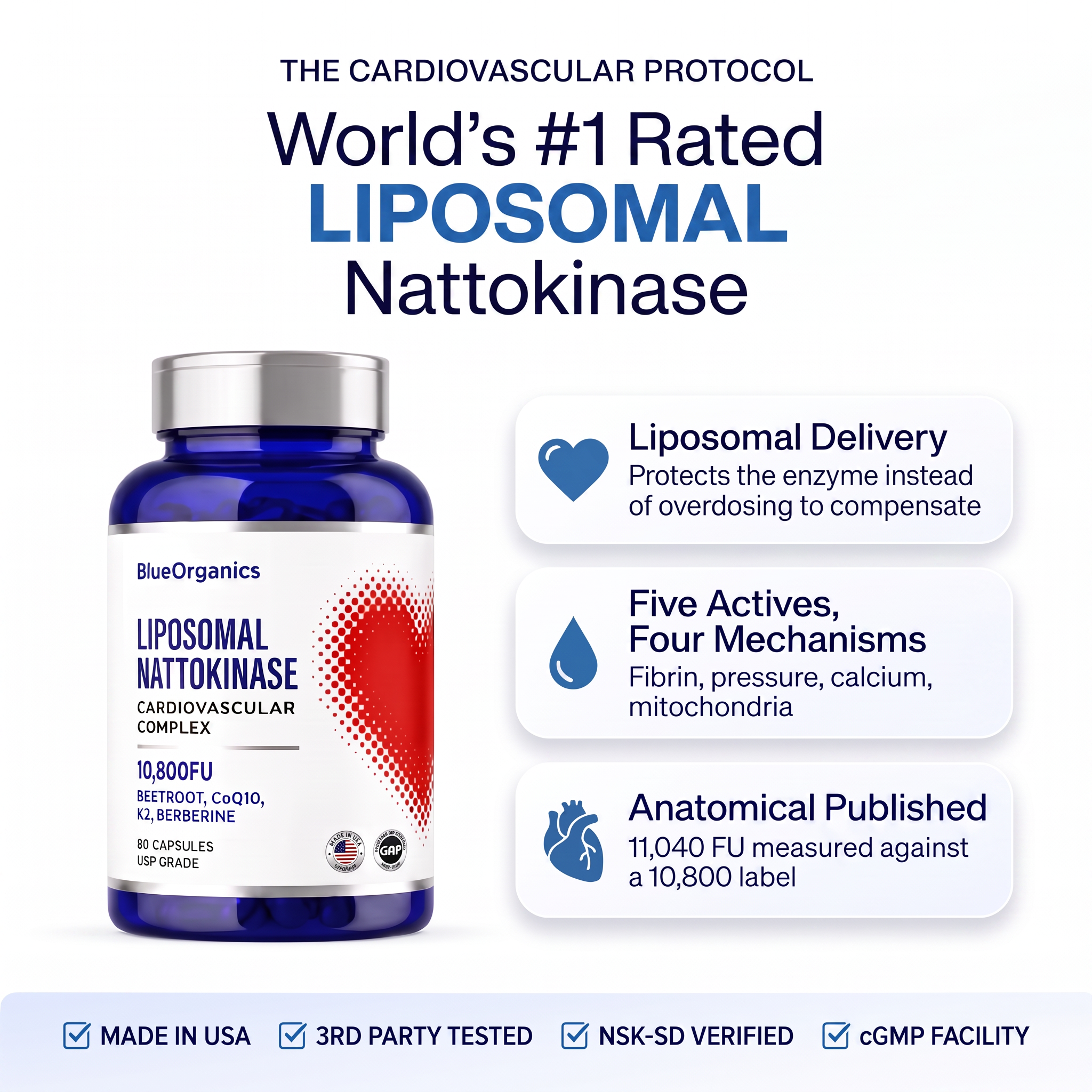 Cardiovascular Complex